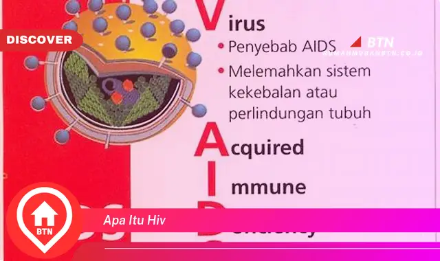 apa itu hiv