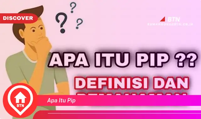 apa itu pip