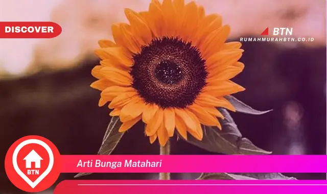 arti bunga matahari