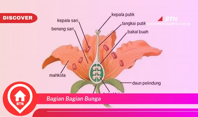 bagian bagian bunga