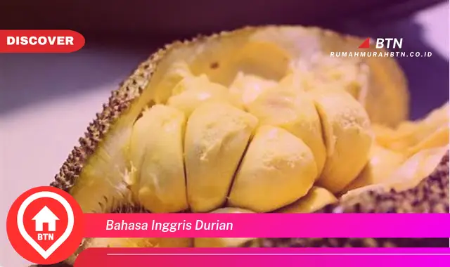 bahasa inggris durian