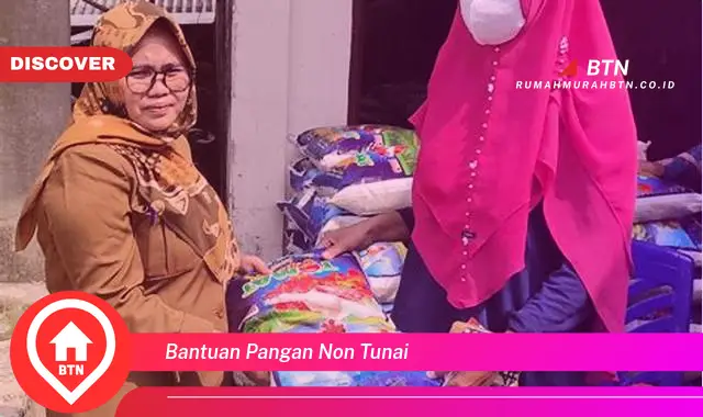 bantuan pangan non tunai