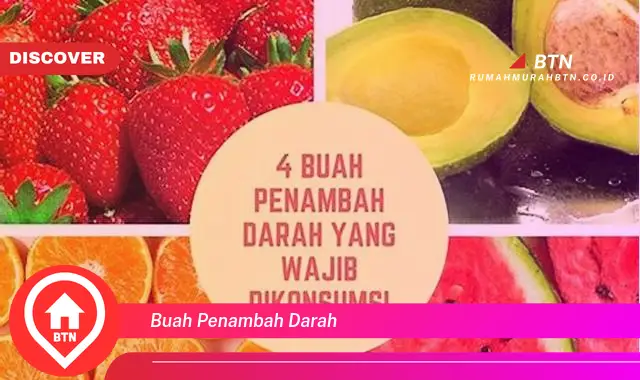 buah penambah darah