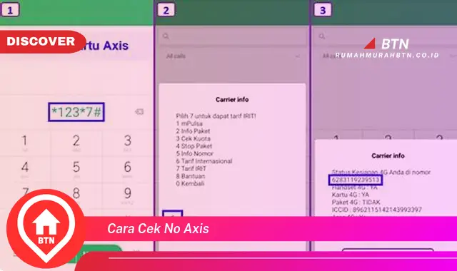 cara cek no axis