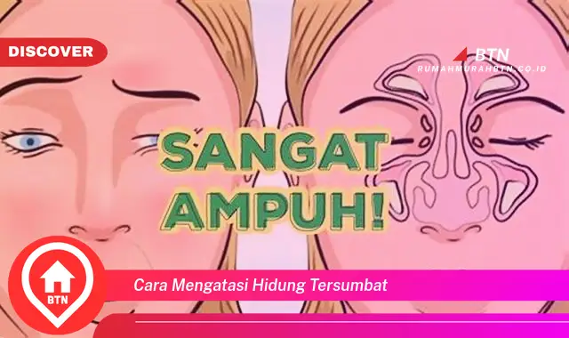 cara mengatasi hidung tersumbat