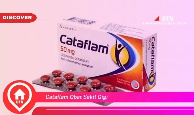 cataflam obat sakit gigi