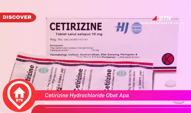 cetirizine hydrochloride obat apa