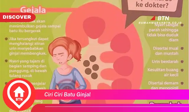 ciri ciri batu ginjal