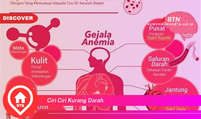 ciri ciri kurang darah