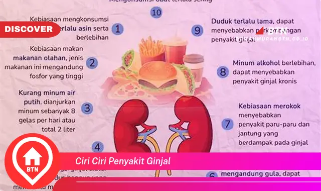 ciri ciri penyakit ginjal