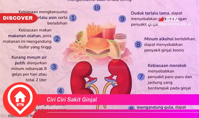 ciri ciri sakit ginjal