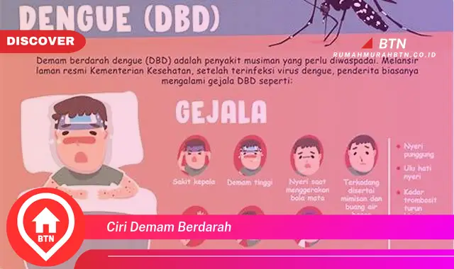 ciri demam berdarah