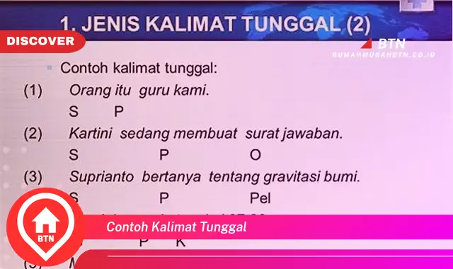 contoh kalimat tunggal