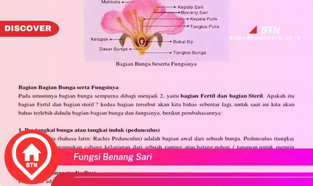 fungsi benang sari