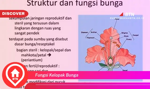 fungsi kelopak bunga