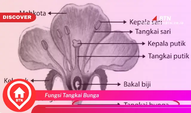 fungsi tangkai bunga