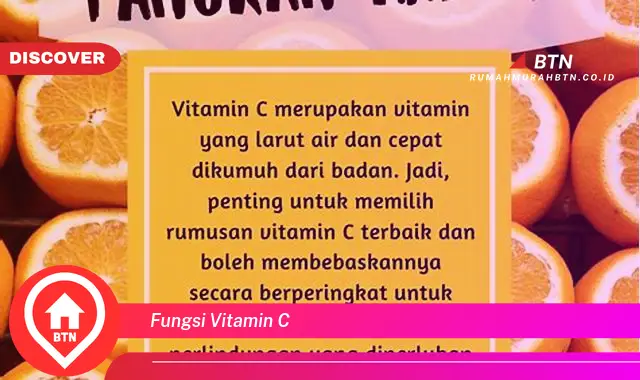 fungsi vitamin c