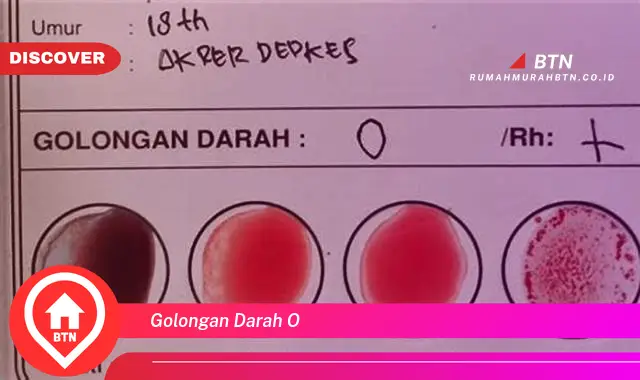 golongan darah o