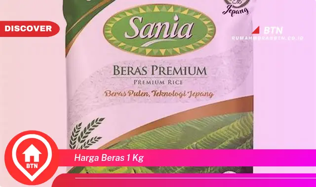 harga beras 1 kg