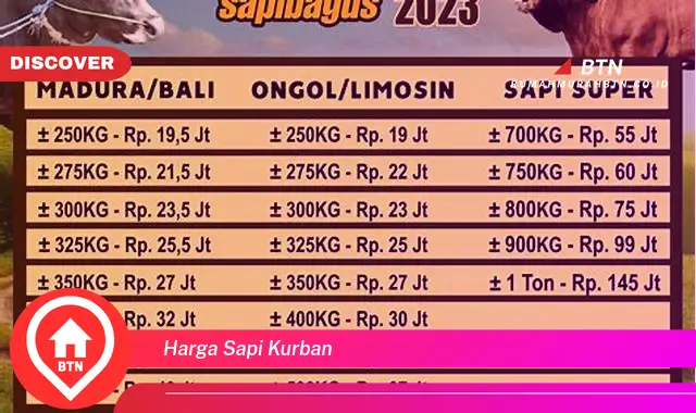 harga sapi kurban