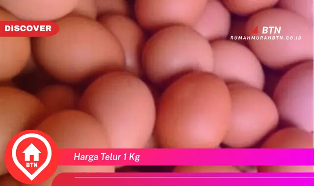 harga telur 1 kg