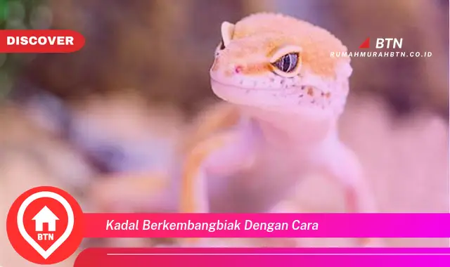 kadal berkembangbiak dengan cara