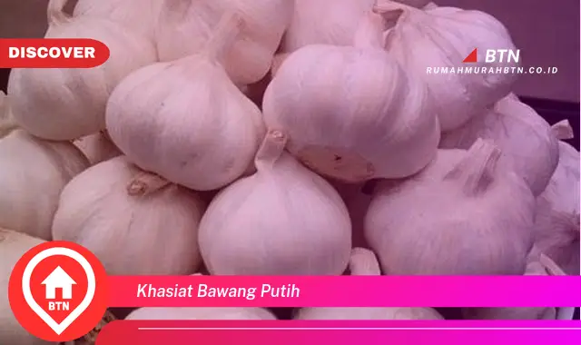 khasiat bawang putih