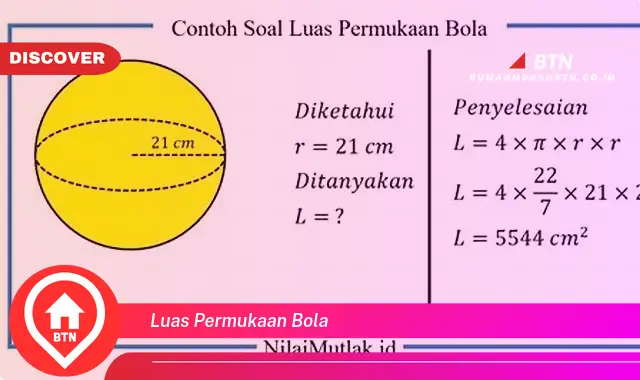 luas permukaan bola