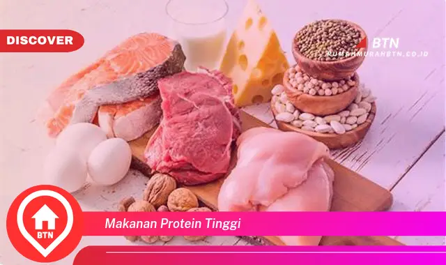 makanan protein tinggi