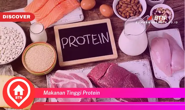 makanan tinggi protein