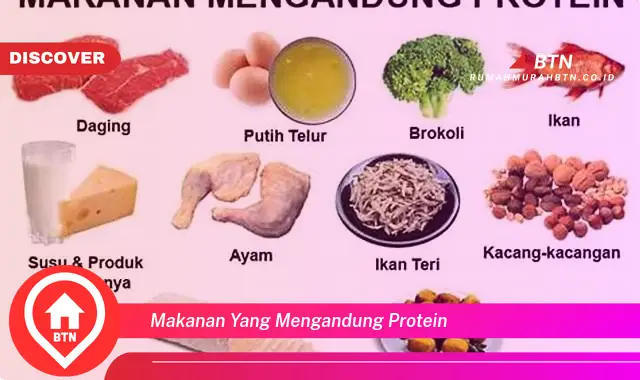 makanan yang mengandung protein