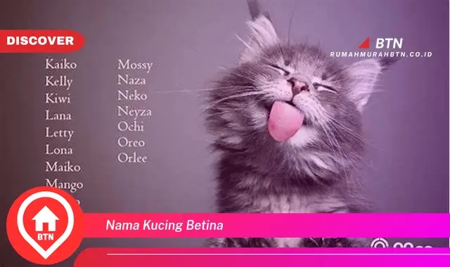 nama kucing betina