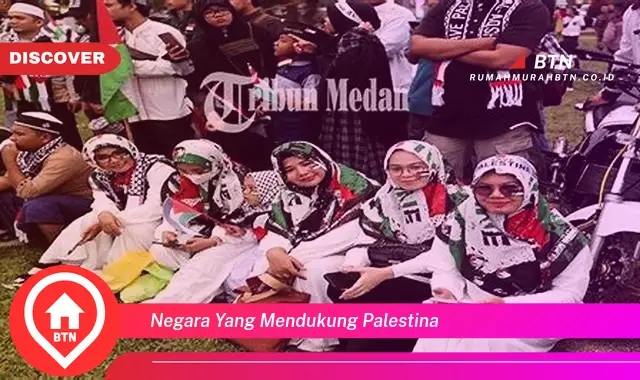 negara yang mendukung palestina