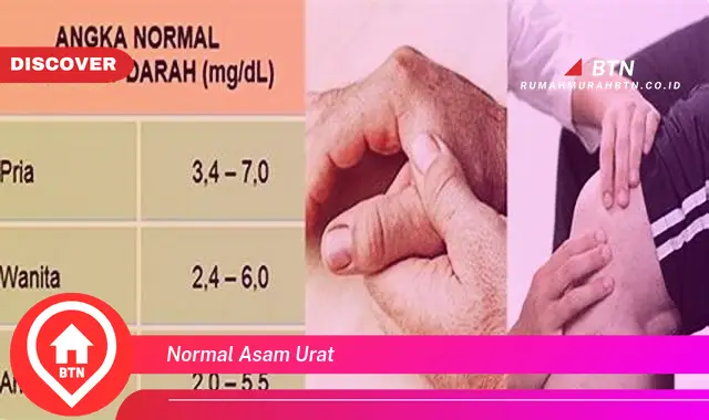 normal asam urat