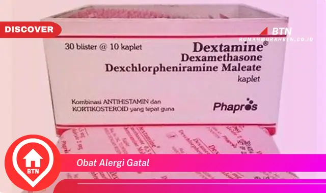 obat alergi gatal