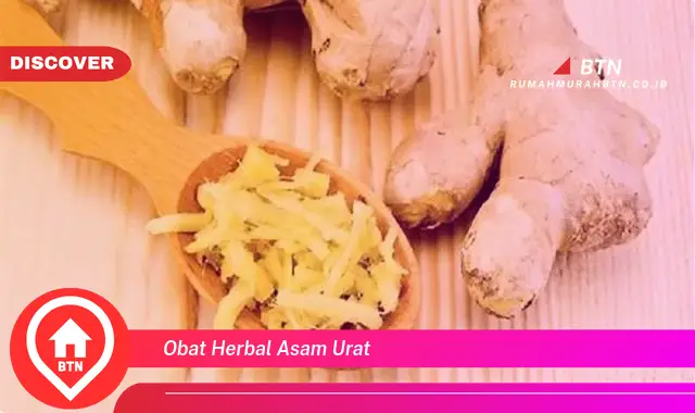 obat herbal asam urat