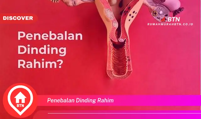 penebalan dinding rahim