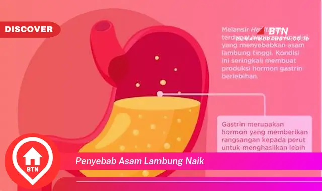 penyebab asam lambung naik