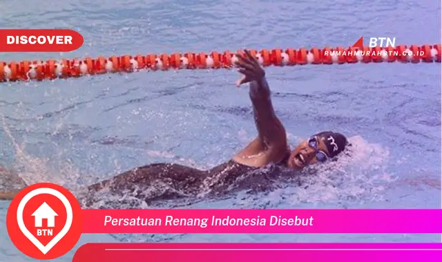 persatuan renang indonesia disebut