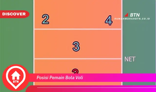 posisi pemain bola voli