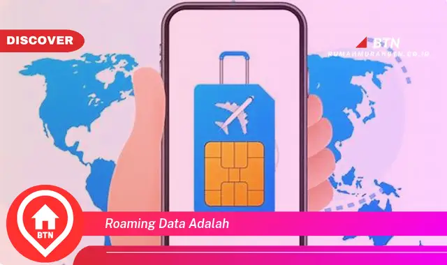 roaming data adalah