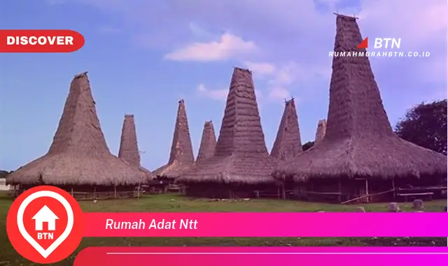 rumah adat ntt