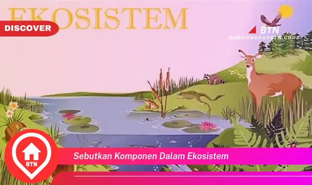 sebutkan komponen dalam ekosistem