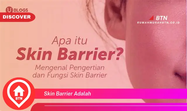 skin barrier adalah