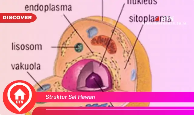 struktur sel hewan