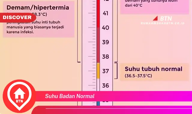 suhu badan normal