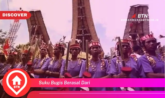 suku bugis berasal dari