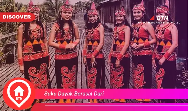 suku dayak berasal dari