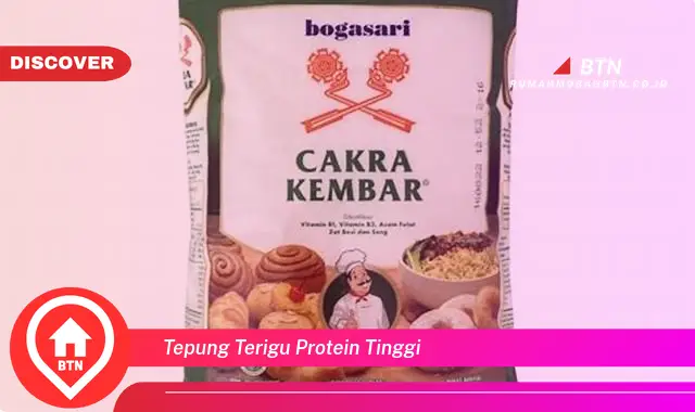 tepung terigu protein tinggi