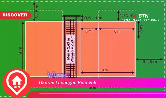 ukuran lapangan bola voli